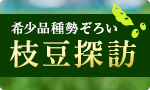 【新登場】希少枝豆食べ比べ頒布会