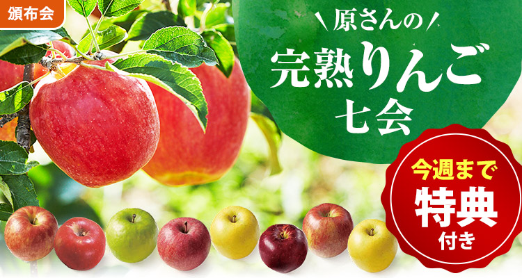 【早期特典】原さんの完熟りんご頒布会