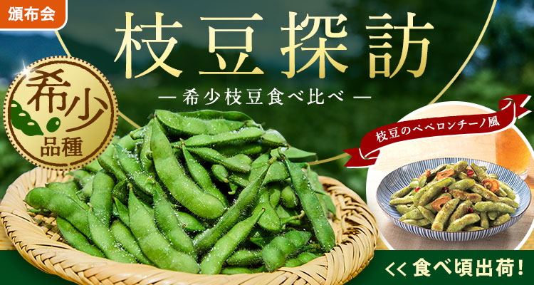 【今注目】希少枝豆食べ比べ頒布会