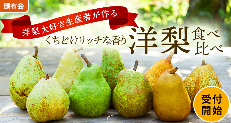 なめらかくちどけ 香り洋梨頒布会