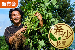 【今注目】希少枝豆食べ比べ頒布会