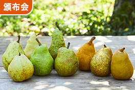 なめらかくちどけ 香り洋梨頒布会