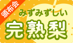 みずみずしい完熟梨食べ比べ頒布会