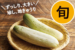 旬の野菜・フルーツ