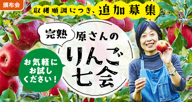 【追加募集】原さんの完熟りんご七会頒布会