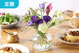 定期登録:季節のおまかせミニフラワーアソート