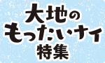 いか登場大地のもったいナイ