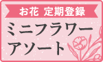 定期登録:季節のおまかせミニフラワーアソート