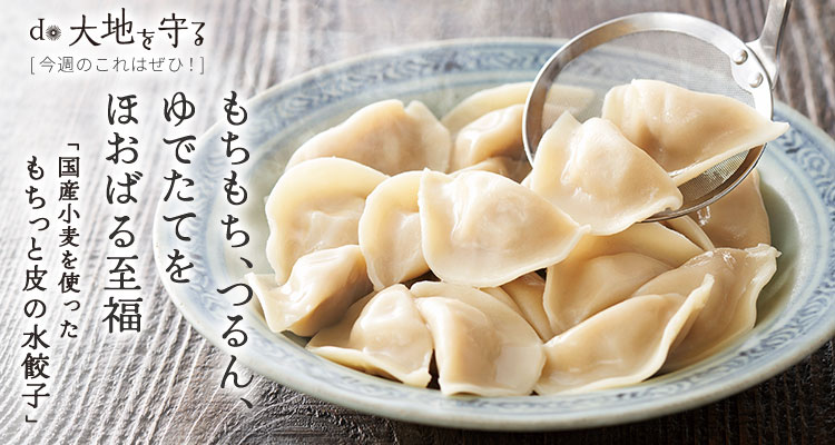 今週のおすすめ商品:今週のおすすめ商品国産小麦を使ったもちっと皮の水餃子