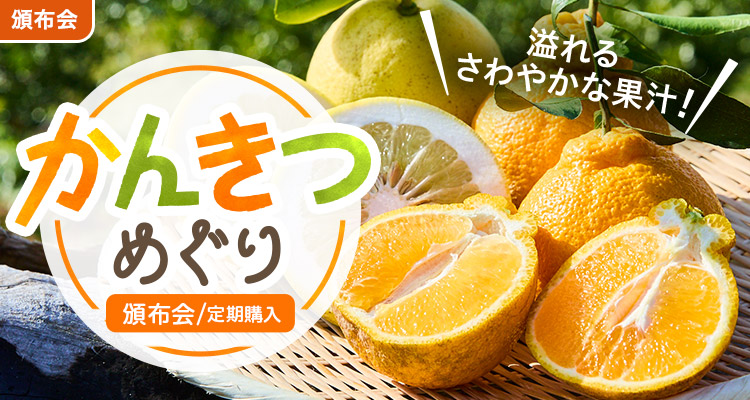 溢れる果汁！かんきつめぐり頒布会