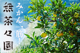 みかん一筋！無茶々園特集