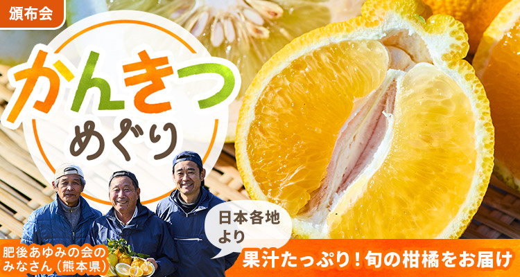 溢れる果汁！かんきつめぐり頒布会