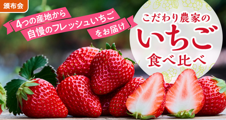 こだわり農家のいちご頒布会