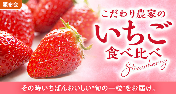 こだわり農家のいちご頒布会