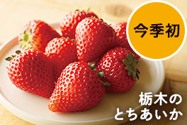 旬の野菜・フルーツ