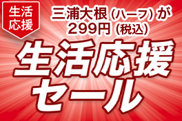 野菜も！うれしい応援価格で