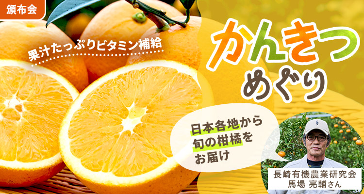 溢れる果汁！かんきつめぐり頒布会