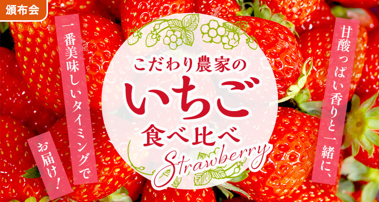 こだわり農家のいちご頒布会