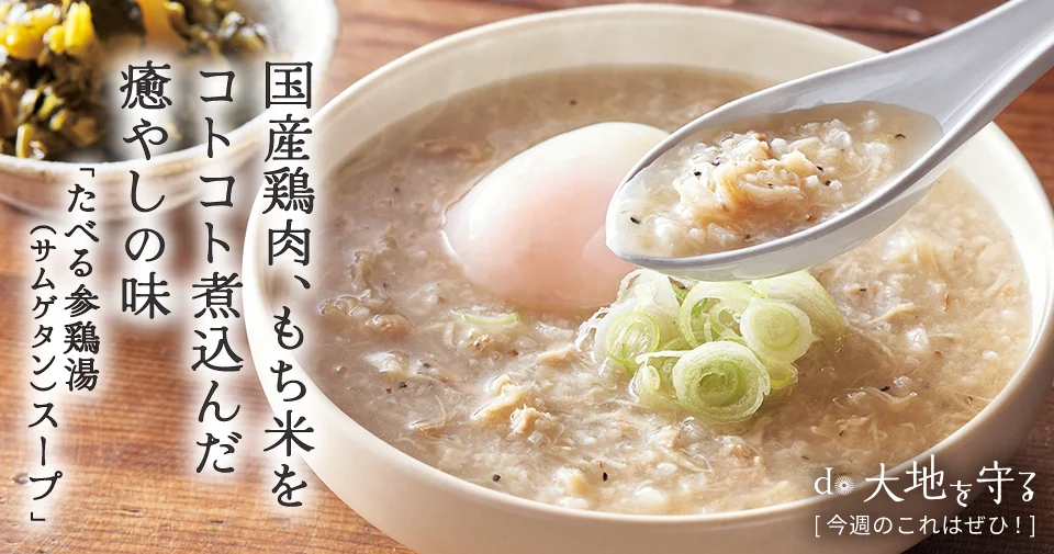 今週のおすすめ商品:今週のおすすめ商品たべる参鶏湯（サムゲタン）スープ