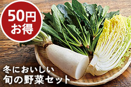 旬の野菜・フルーツ