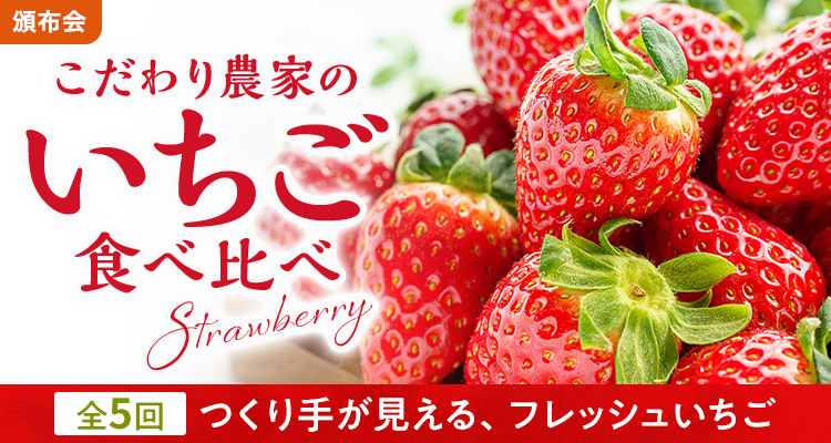 こだわり農家のいちご頒布会