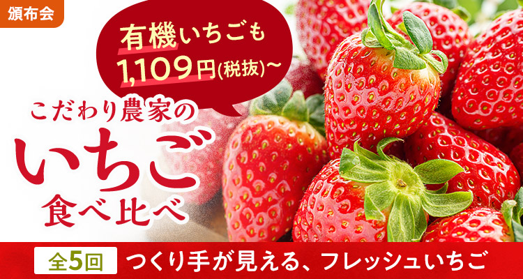 こだわり農家のいちご頒布会