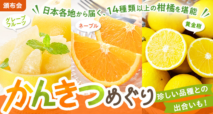 溢れる果汁！かんきつめぐり頒布会