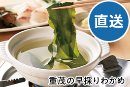 新商品・イチオシ