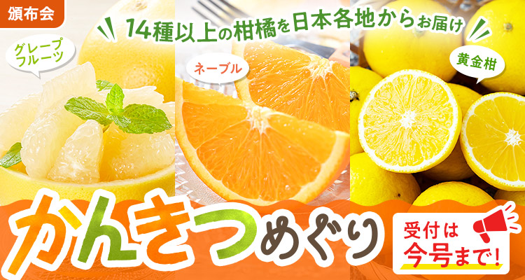 溢れる果汁！かんきつめぐり頒布会