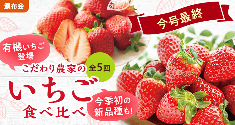 こだわり農家のいちご頒布会