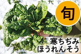 旬の野菜・フルーツ