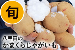 旬の野菜・フルーツ