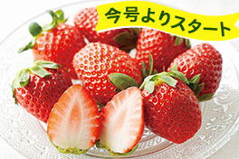 春のいちごフェア