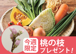 大地らくトクお届け