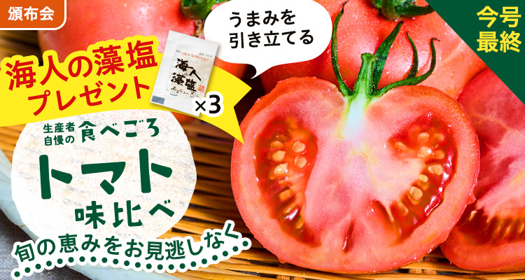 【今号最終】トマト味比べ頒布会