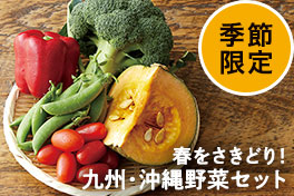 旬の野菜・フルーツ