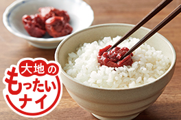 新商品・イチオシ