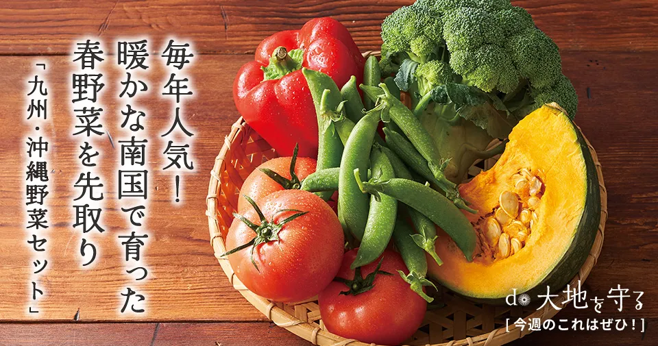 今週のおすすめ商品:今週のおすすめ商品九州・沖縄野菜セット