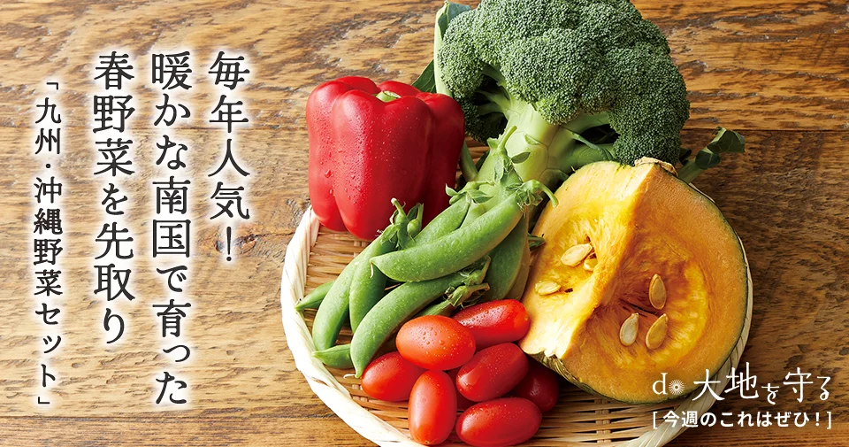 今週のおすすめ商品:今週のおすすめ商品九州・沖縄野菜セット