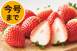 春のいちごフェア