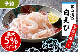 【予約】白海老入荷！春の海鮮祭り