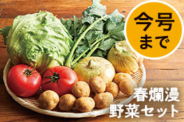 旬の野菜・フルーツ