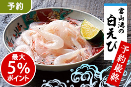 白海老入荷！春の海鮮祭り予約