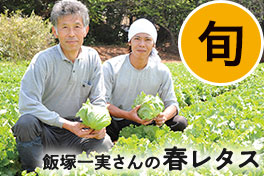 旬の野菜・フルーツ