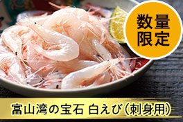 目利きが厳選！おすすめ魚