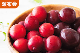 旬を味わう プラムの頒布会