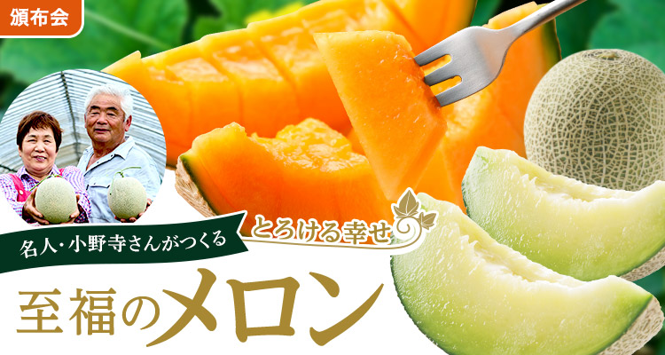 とろける幸せ至福のメロン