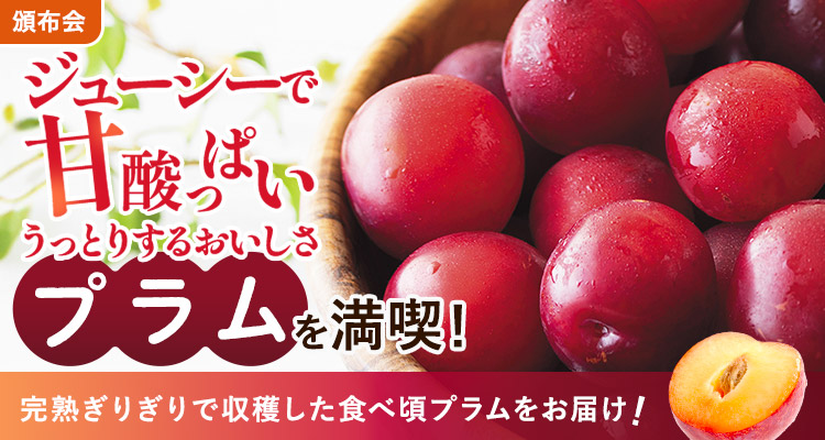 旬を味わう プラムの頒布会