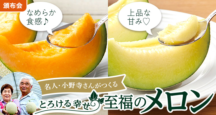 とろける幸せ至福のメロン