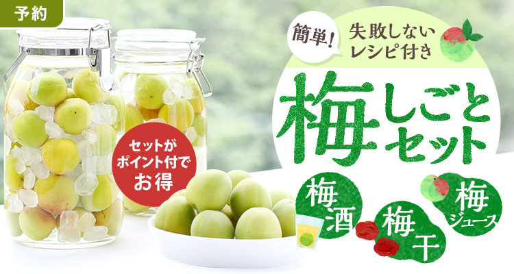 旬を楽しむ 簡単！梅しごと
